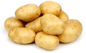 Potato