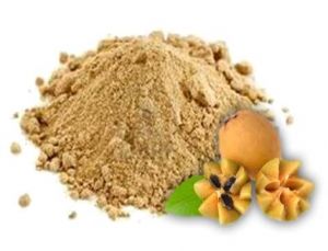 Sapota Powder