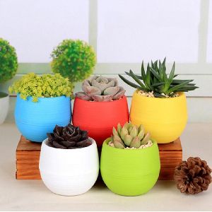 Flower Pots