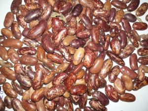 Kidney Beans