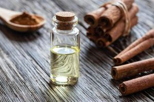 Vanilla Cinnamon Fragrance Oil