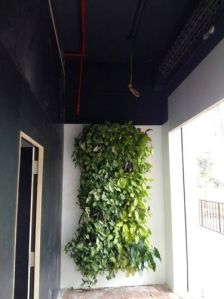 Artificial Wall Plant