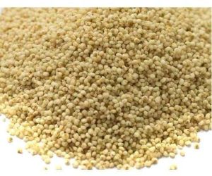 Organic kodo millet