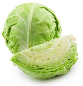 Fresh Green Cabbage