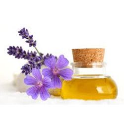 Geranium Oil