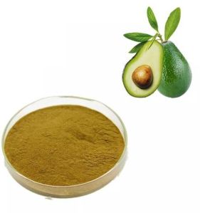 Phytosterols Extract Powder