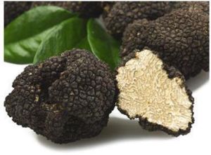 black truffle