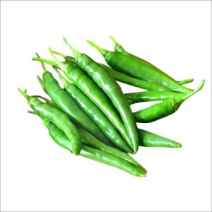 Fresh Green Chilli (g4)