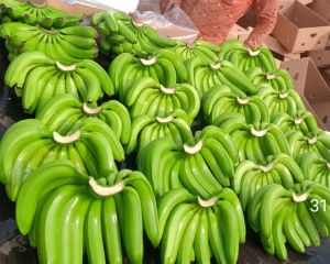 Fresh Raw Banana