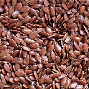 Flax Seeds