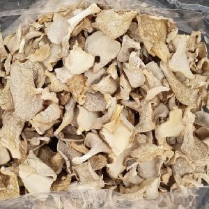 Dried Oyster Mushroom