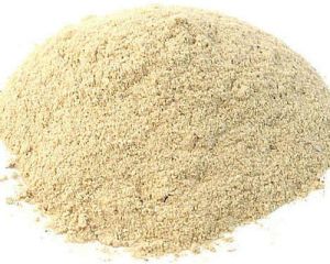 Oyster Mushroom Powder