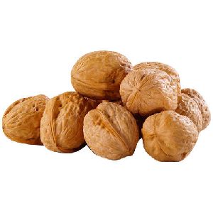 Shelled Walnuts