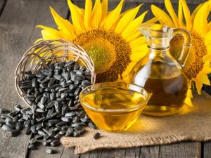 SUNFLOWER OIL SEEDS