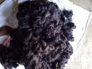 Raw human hair goli