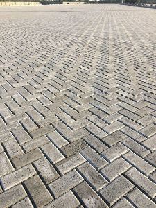 Grey Paver Blocks