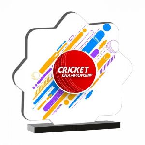 Cricket Championship Budget Trophy