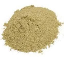 Hadjod Powder