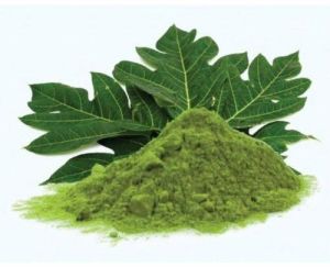 Papaya Leaf Powder