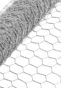 Chicken Wire Mesh