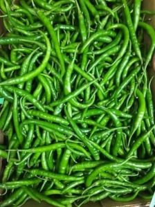 Green Chilli