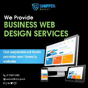 Business Website Design Service