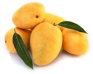 Kesar Mangoes