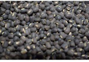 Whole Black Urad Dal