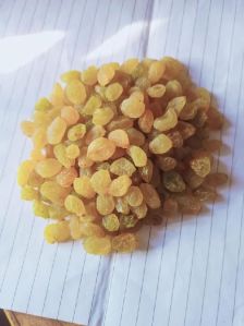 Golden Raisins