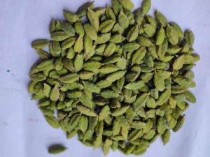 Green Cardamom