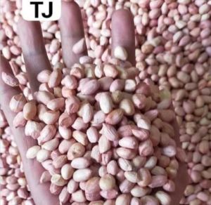 TJ Groundnut Kernels