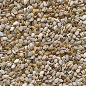 White Sesame Seed