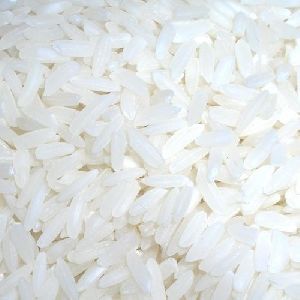 IR 36 Rice