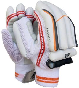 Cricket Batting Gloves