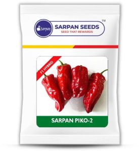 Sarpan Piko Chilli seeds