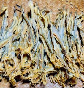 Dry Fish