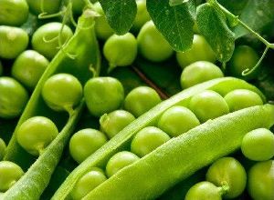 GS10 Pea Seeds