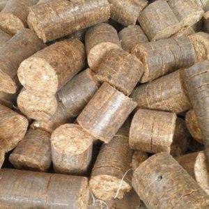 Bio Coal Briquettes