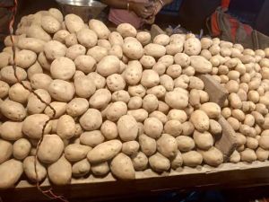 Wholesale potatoes supplier