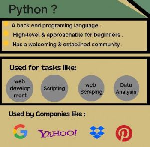 Python Training Course in Mohali