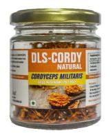 30 gm Dried Cordyceps Militaris, Packaging Type: Jar