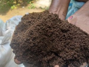 Organic Fertilizer