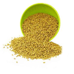 Fenugreek Seed