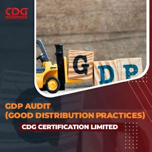 WHO GDP Audit in Hyderabad