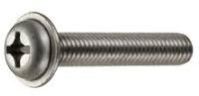 Washer Head Screw