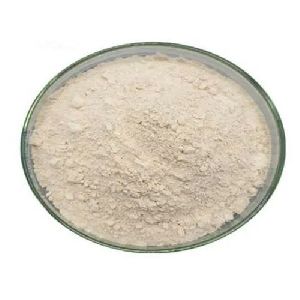 60% Garcinia Cambogia Dry Extract