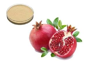 Pomegranate Extract