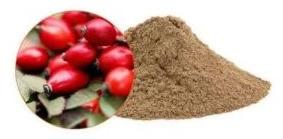 Rose Hip Extract