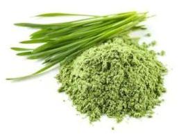 Wheatgrass Powder Extract