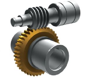 Worm Gear